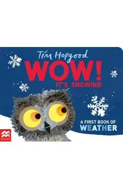 WOW! It's Snowing - Tim Hopgood