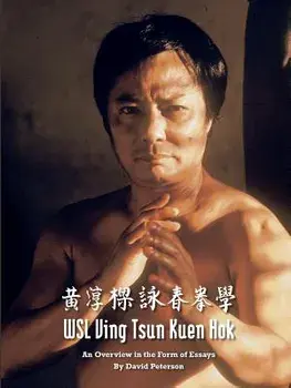 WSL Ving Tsun Kuen Hok: An Overview in the Form of Essays, Paperback/David Peterson