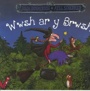 Wwsh ar y Brwsh, Paperback/Julia Donaldson
