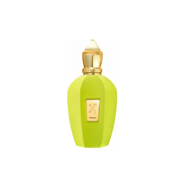 Xerjoff Amabile Apa de parfum unisex Tester EDP Volum 100 ml