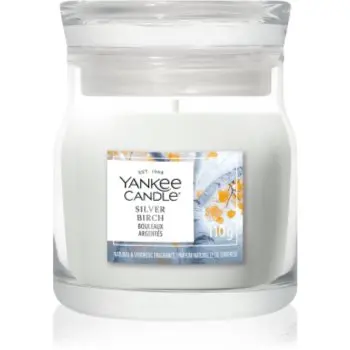 Yankee Candle Silver Birch lumânare parfumată Signature
