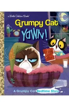 Yawn! a Grumpy Cat Bedtime Story (Grumpy Cat) - Steve Foxe