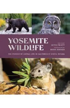 Yosemite Wildlife: The Wonder of Animal Life in California's Sierra Nevada - Beth Pratt