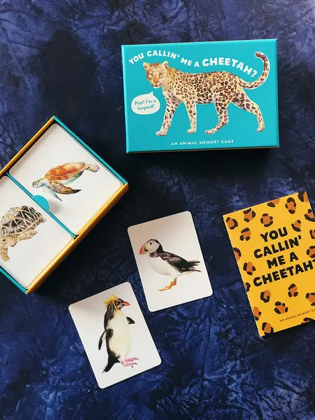 You Callin' Me a Cheetah? (Pss! I'm a Leopard!) | Laurence King Publishing