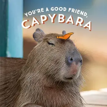 You're a Good Friend, Capybara, Hardcover/***