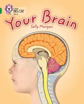 Your Brain. Band 15/Emerald, Paperback/Sally Morgan