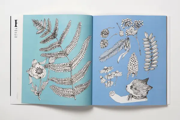 Yuko Higuchi's Magical Colouring Museum | Yuko Higuchi