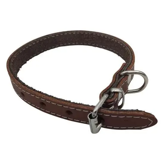 Zgarda din piele pentru caini Nr. 1 Petro Maro 1,5 x 35 cm
