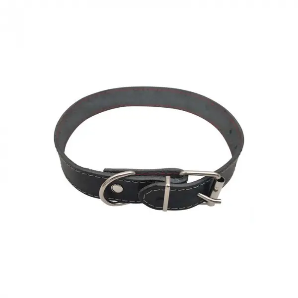 Zgarda din piele pentru caini Nr.4 Petro 2,9 x 60 cm