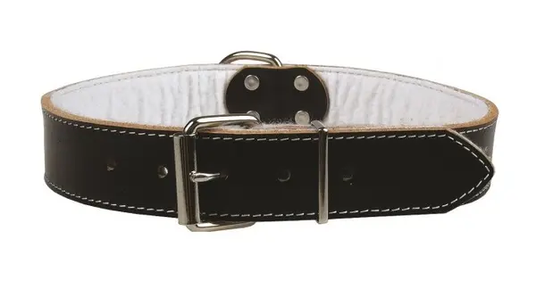Zgarda pentru caini Pet Expert, marime XL, 3.5 x 75 cm, piele, negru