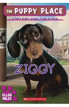 Ziggy - Ellen Miles