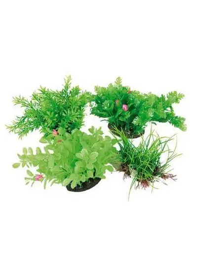 ZOLUX Aerator Aeroplant 17cm diverse culori